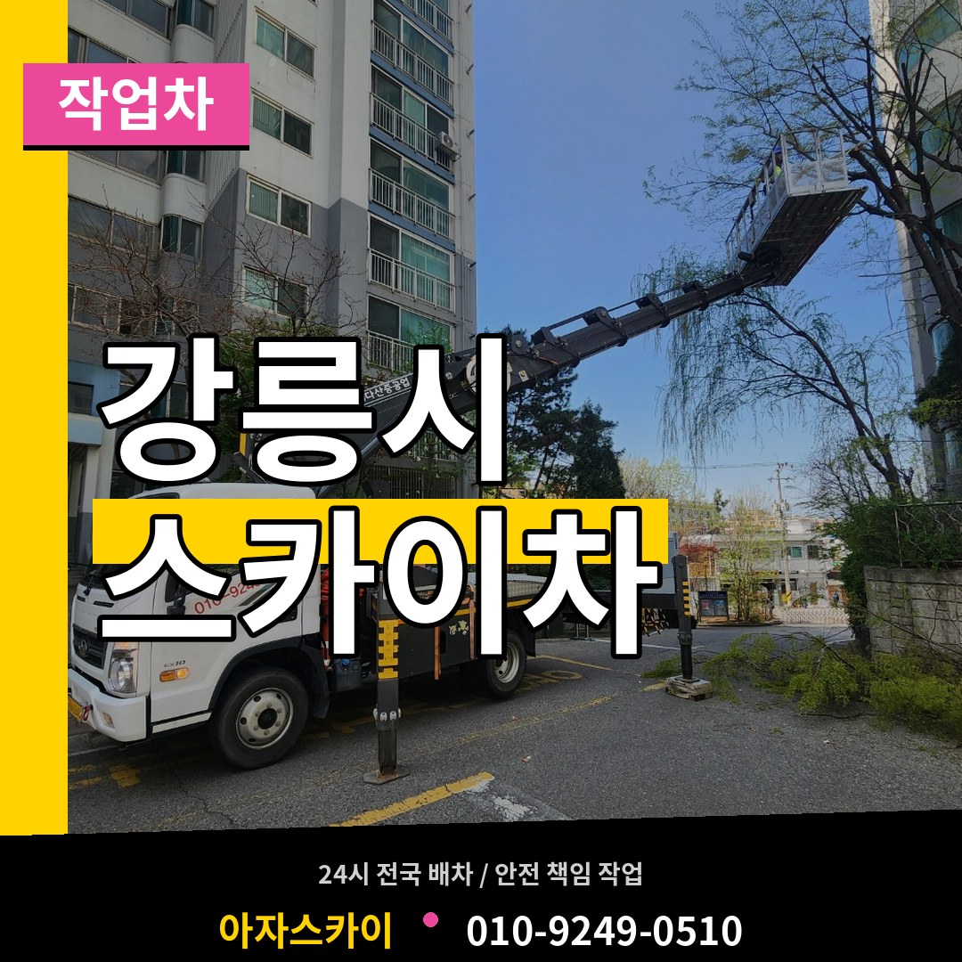 강원 강릉시 스카이 작업차 작업 현장