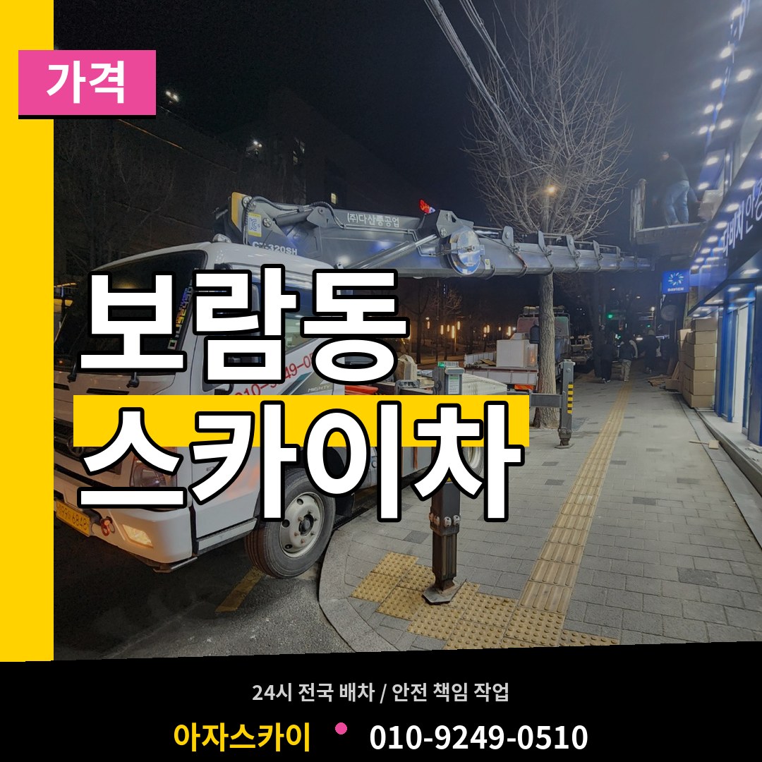 세종 세종시 보람동 스카이차 가격 작업 현장