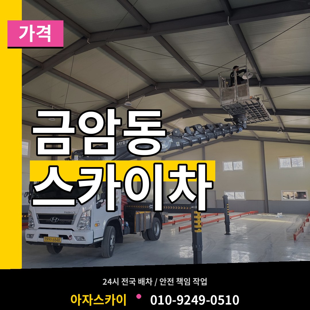 충남 계룡시 금암동 스카이차 가격 작업 현장