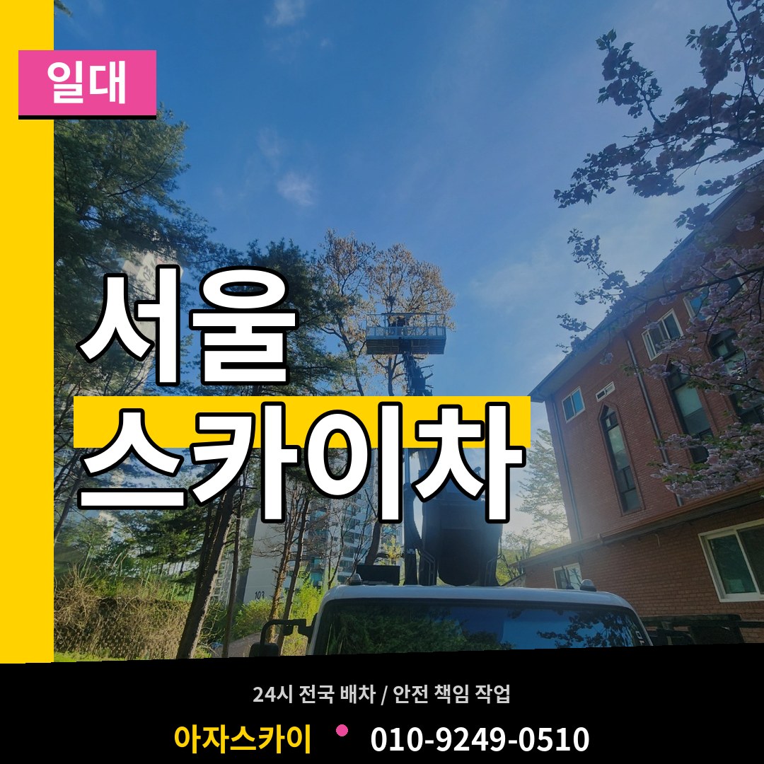 서울 스카이차 일대 시공 사례