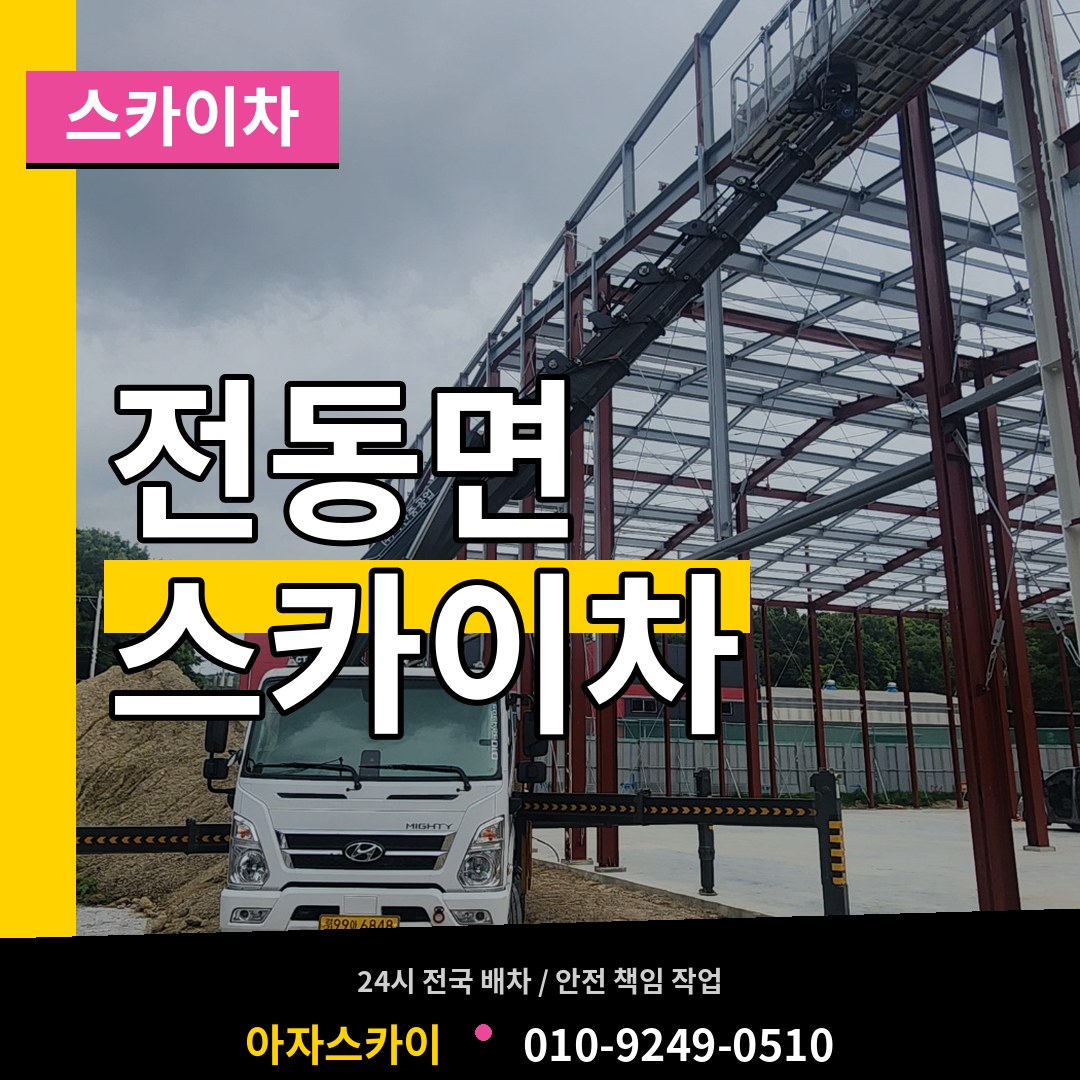 세종 세종시 전동면 스카이차 시공 사례