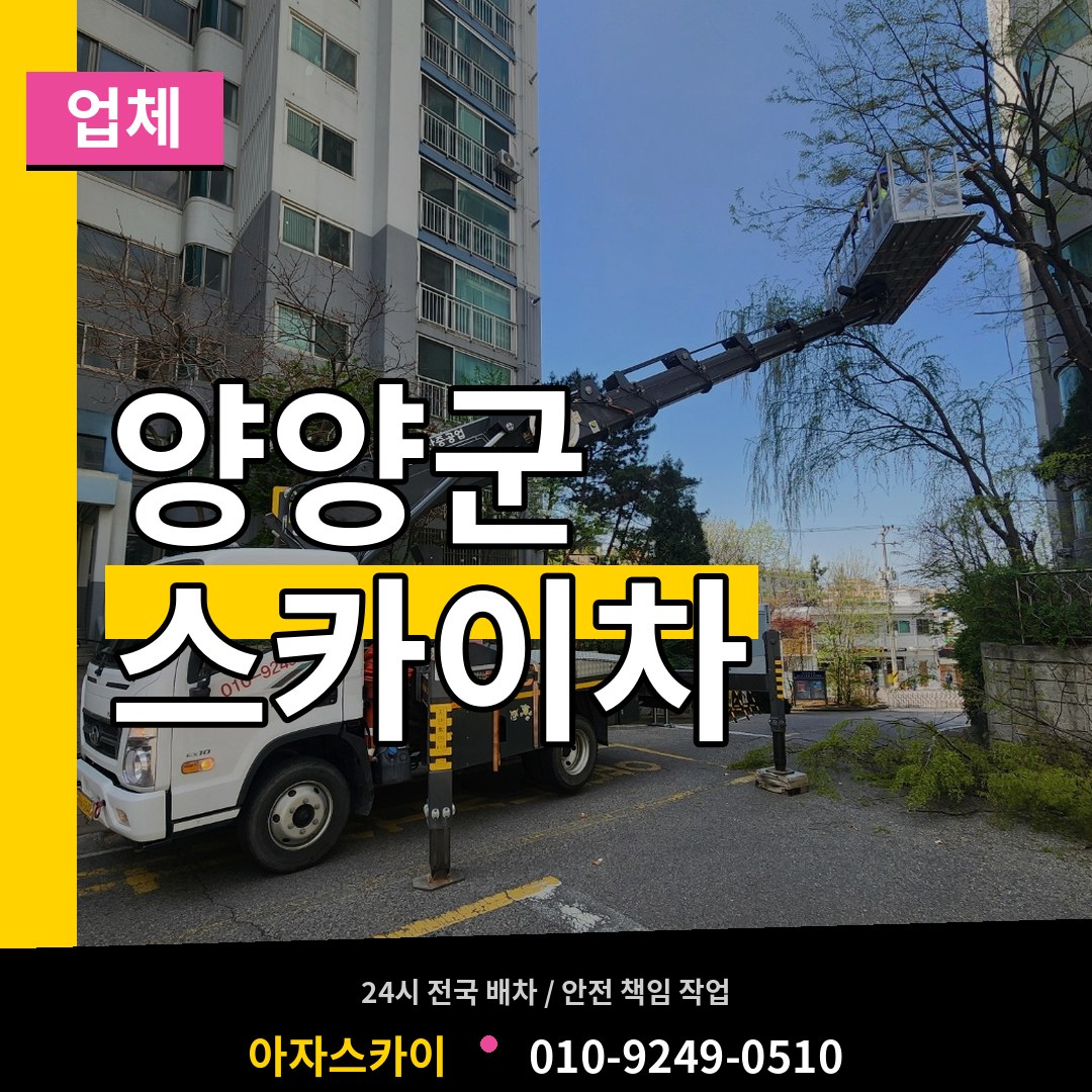 강원 양양군 스카이차 업체