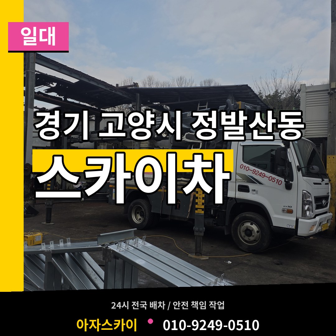 경기 고양시 정발산동 스카이차 일대