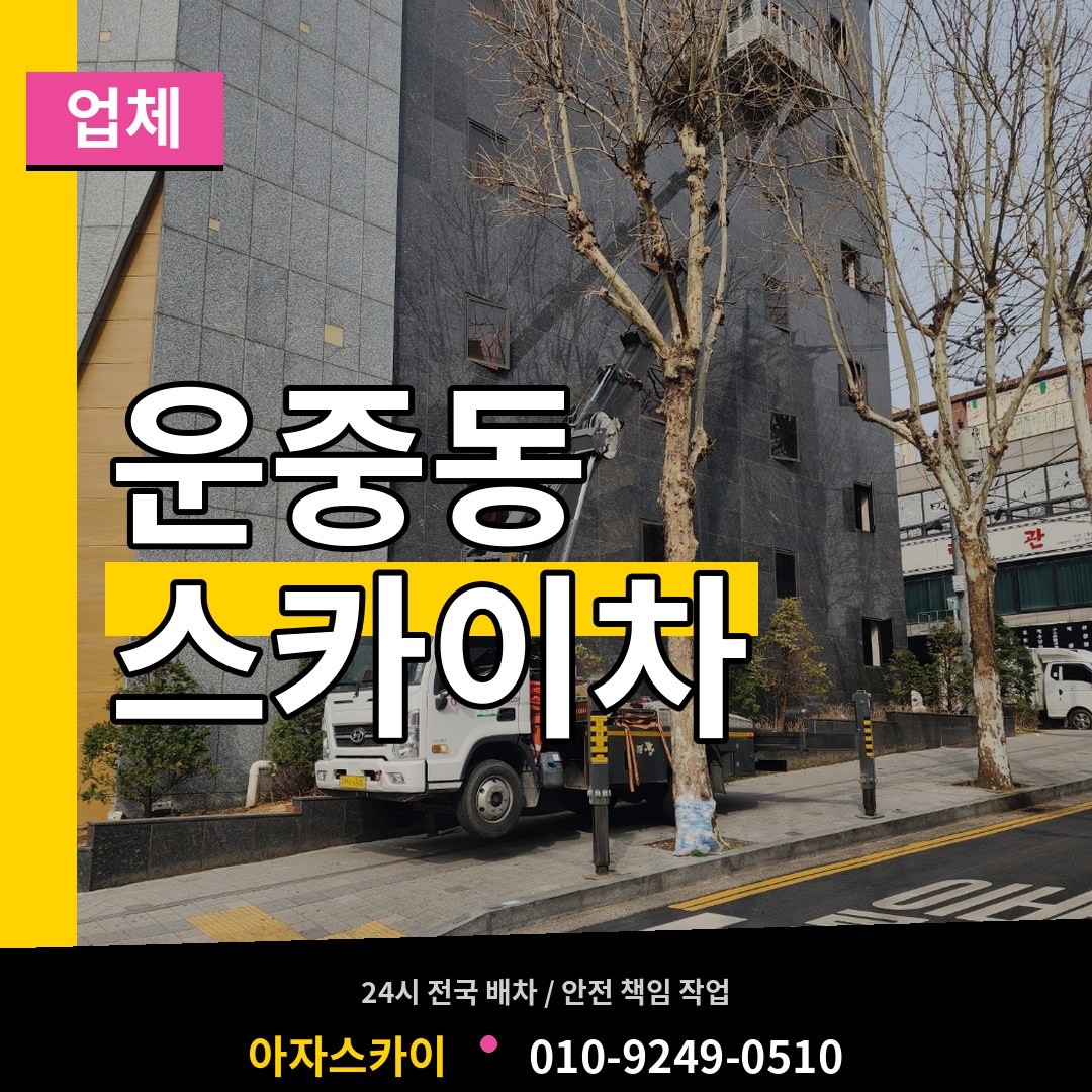 경기 성남시 운중동 스카이차 업체