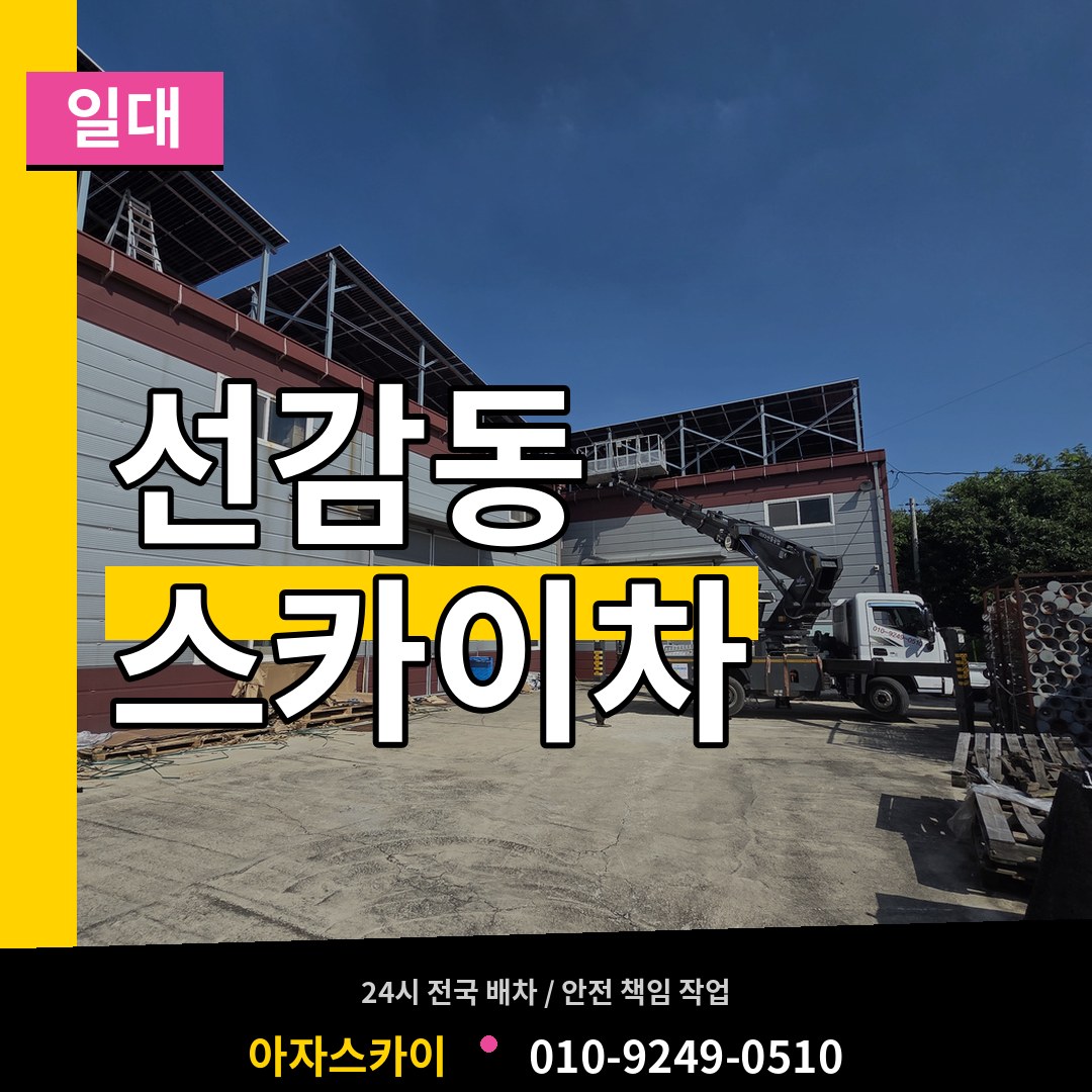 경기 안산시 선감동 스카이차 일대