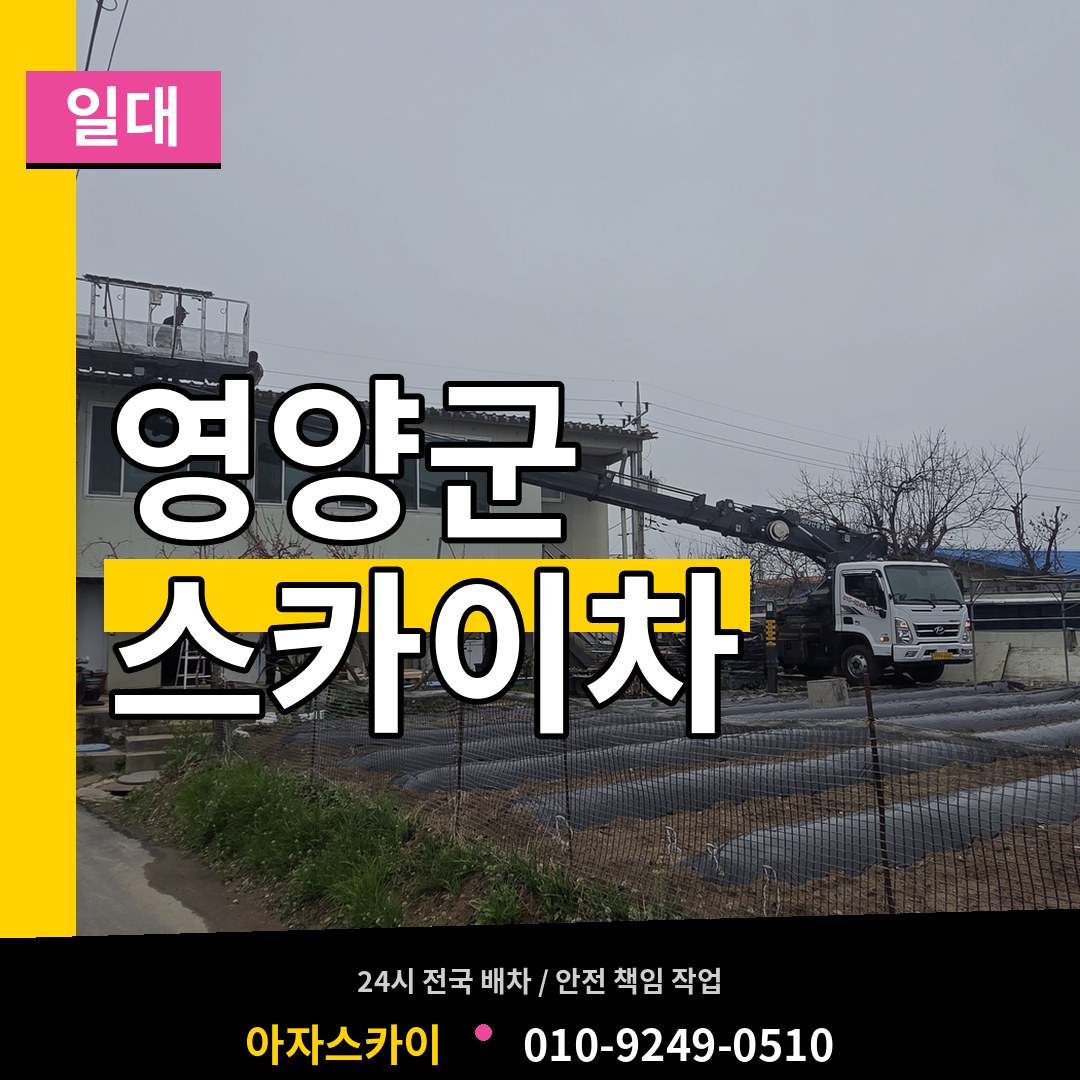 경북 영양군 스카이차 일대