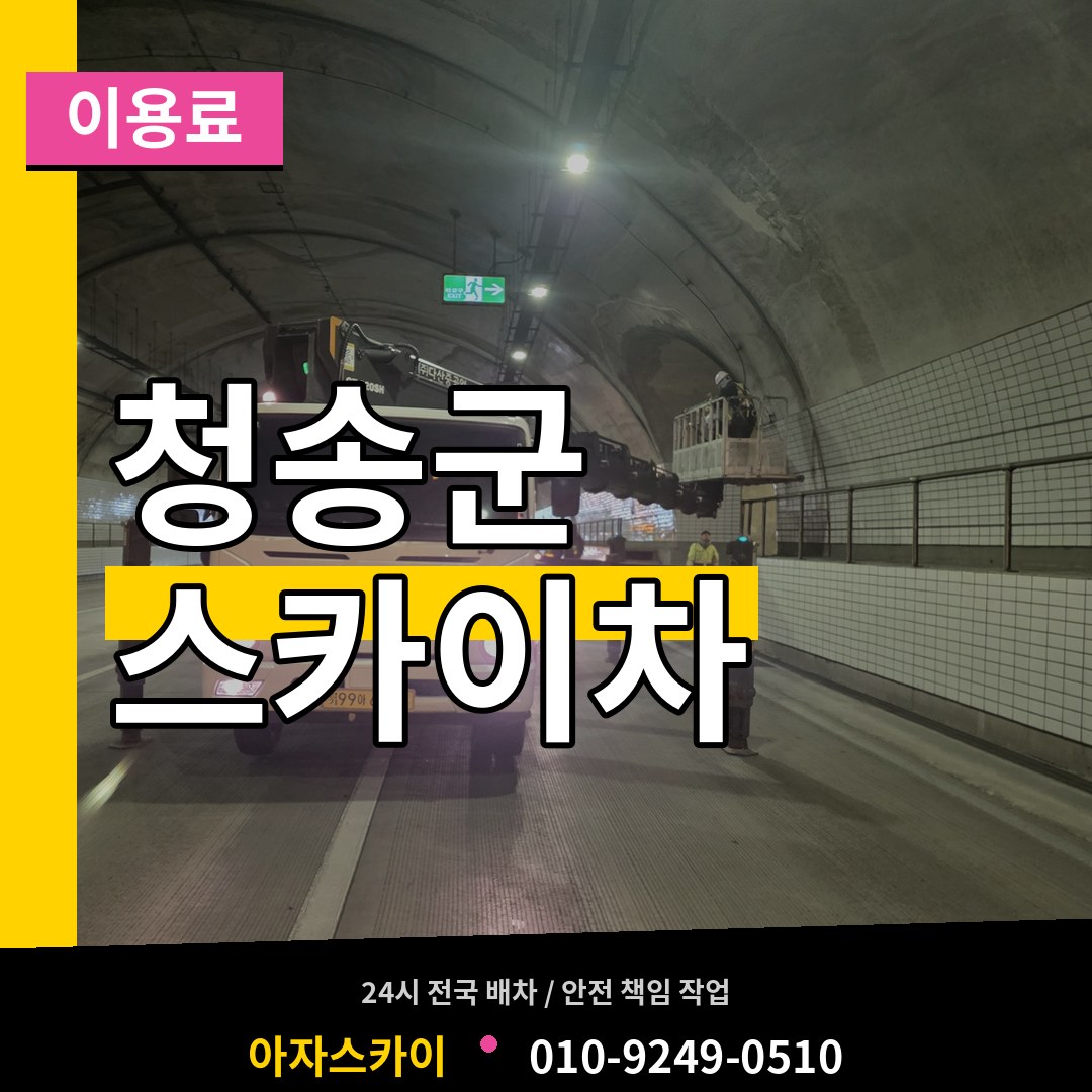 경북 청송군 스카이차 이용료
