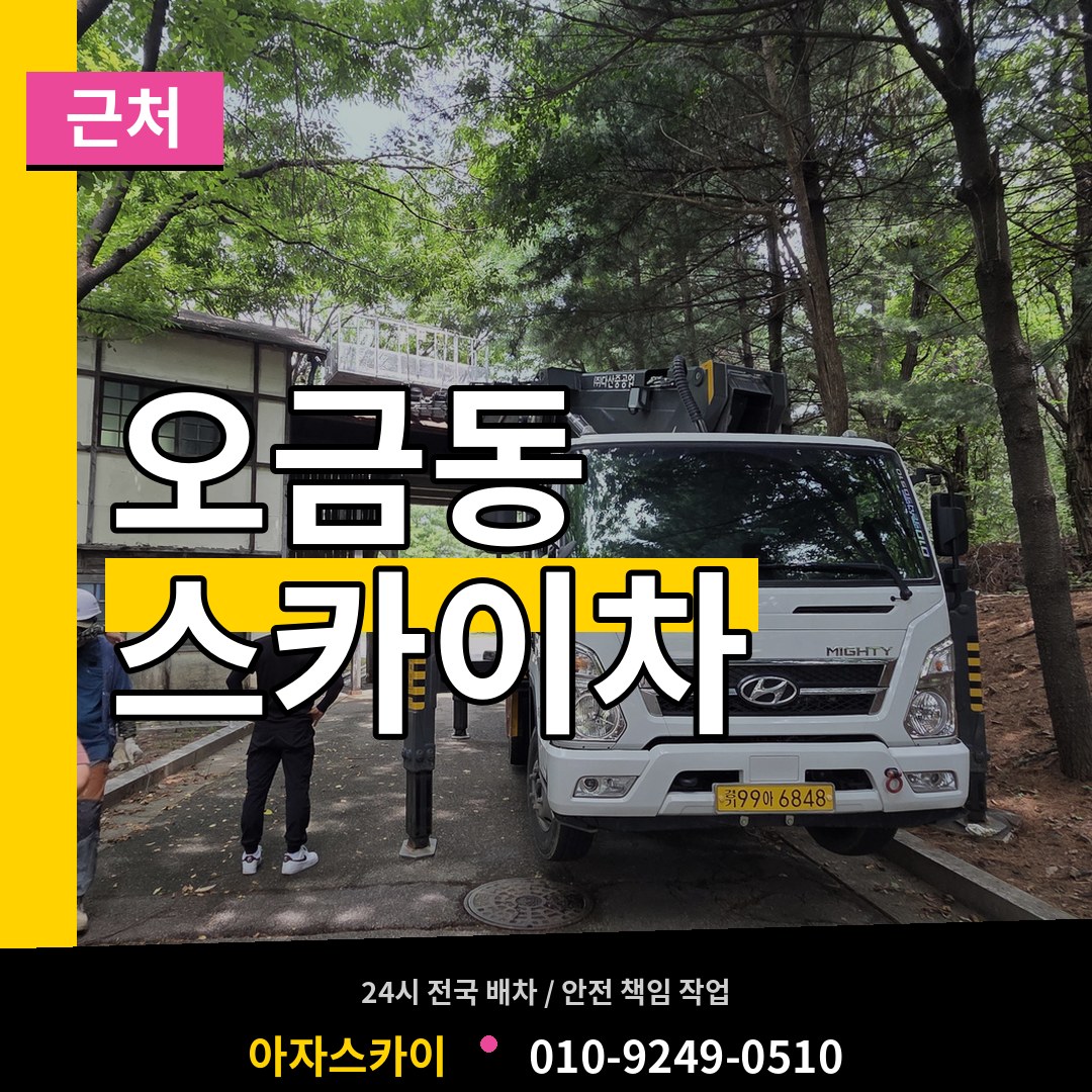 서울 송파구 오금동 근처 스카이차