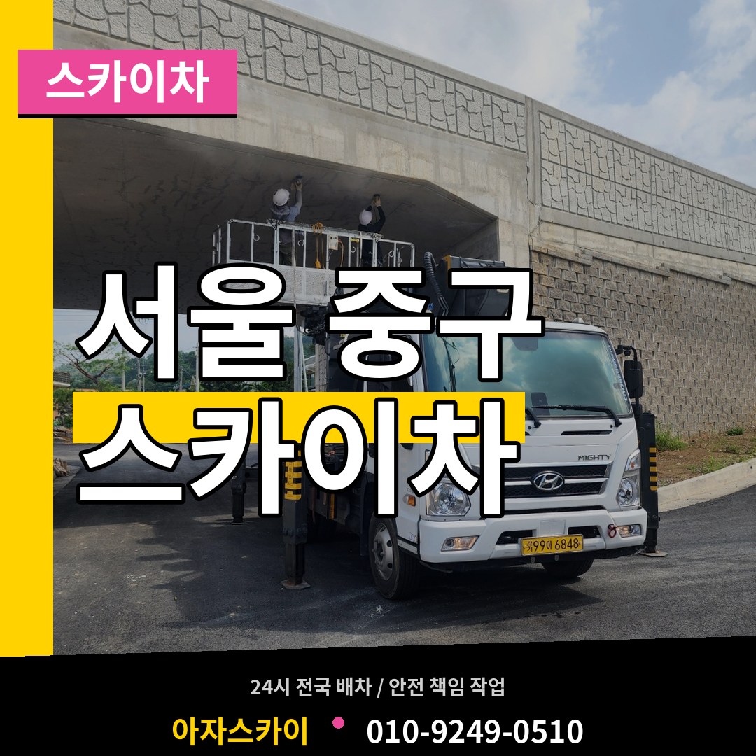서울 중구 스카이차