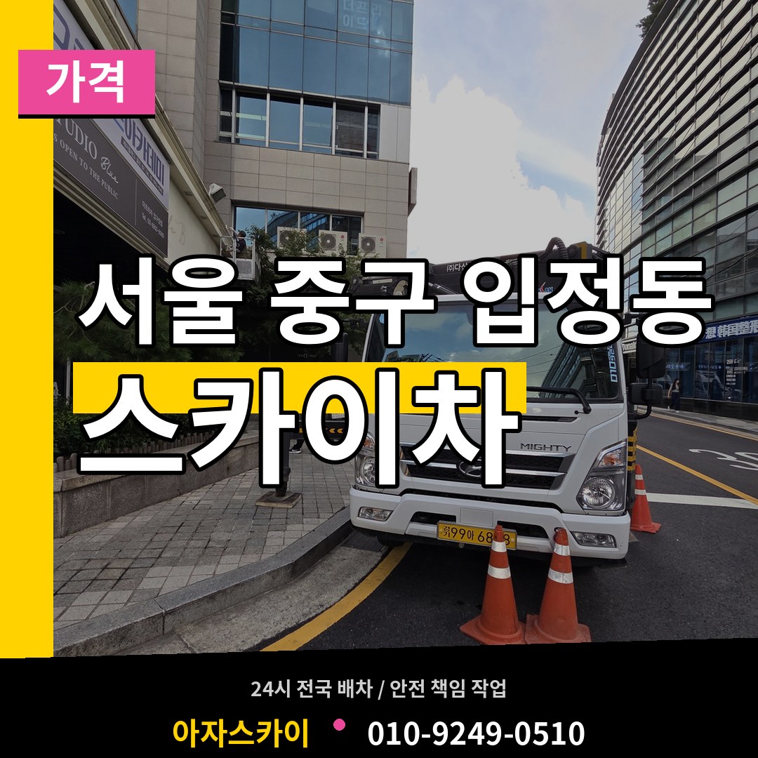 서울 중구 입정동 스카이차 가격