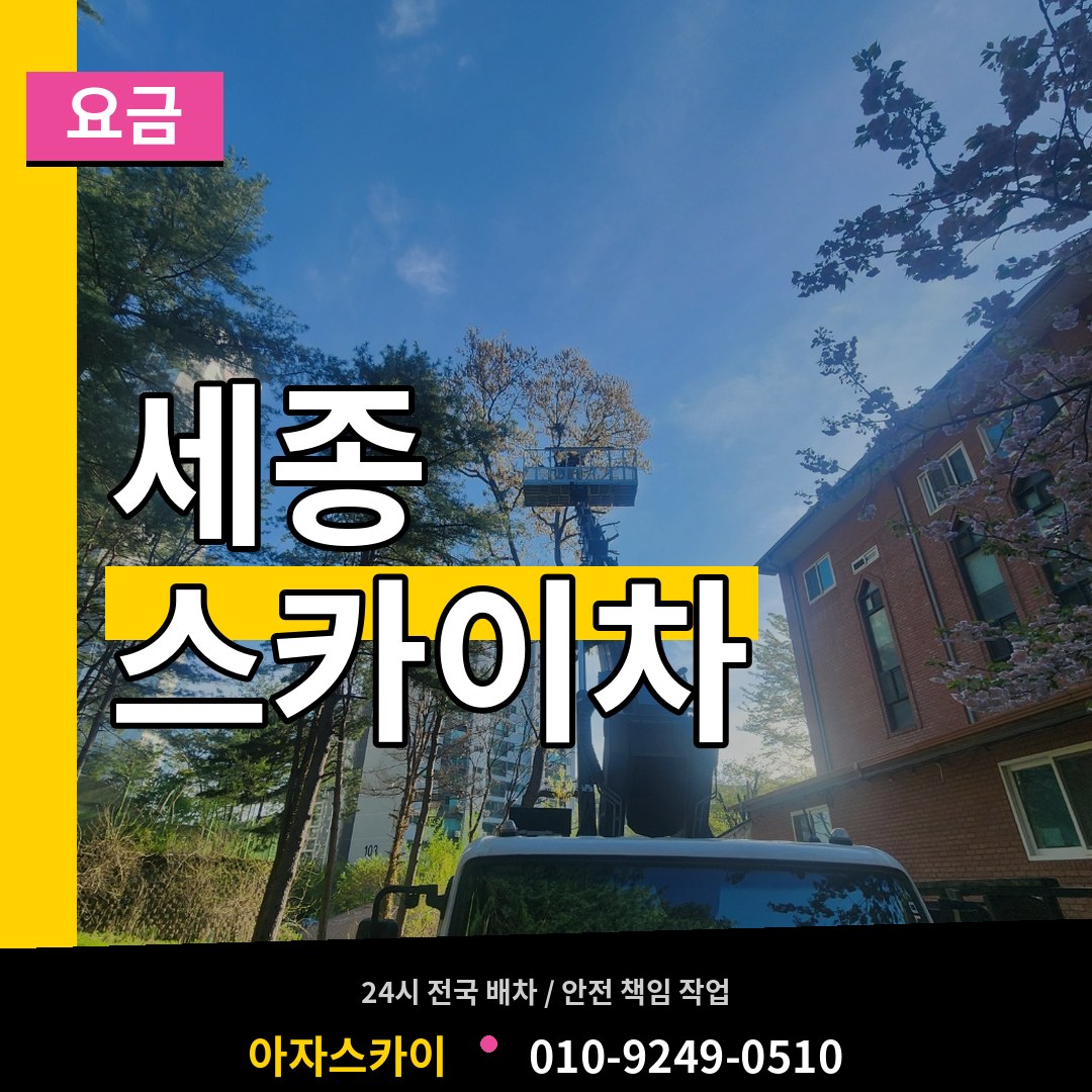 세종 스카이차 요금