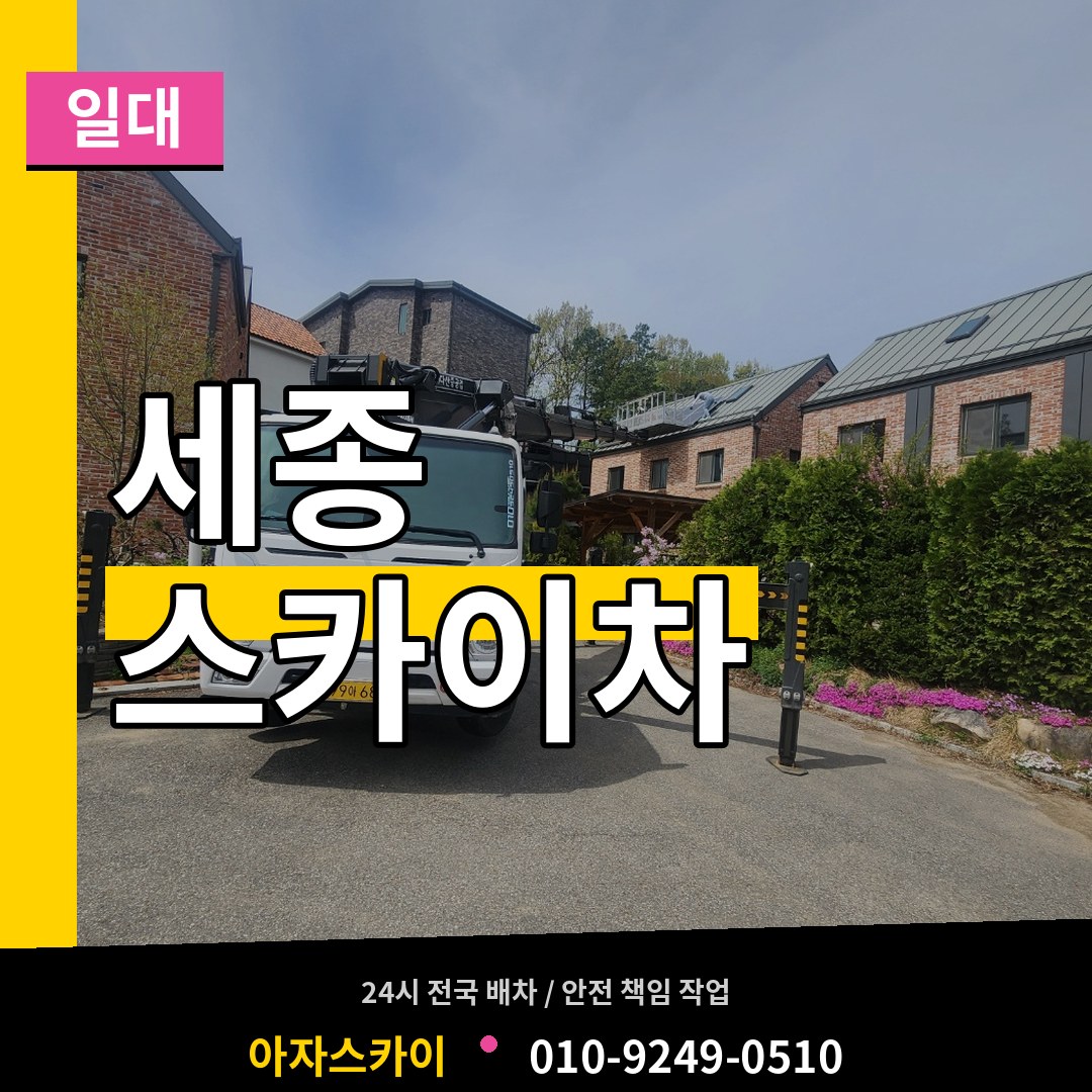 세종 스카이차 일대