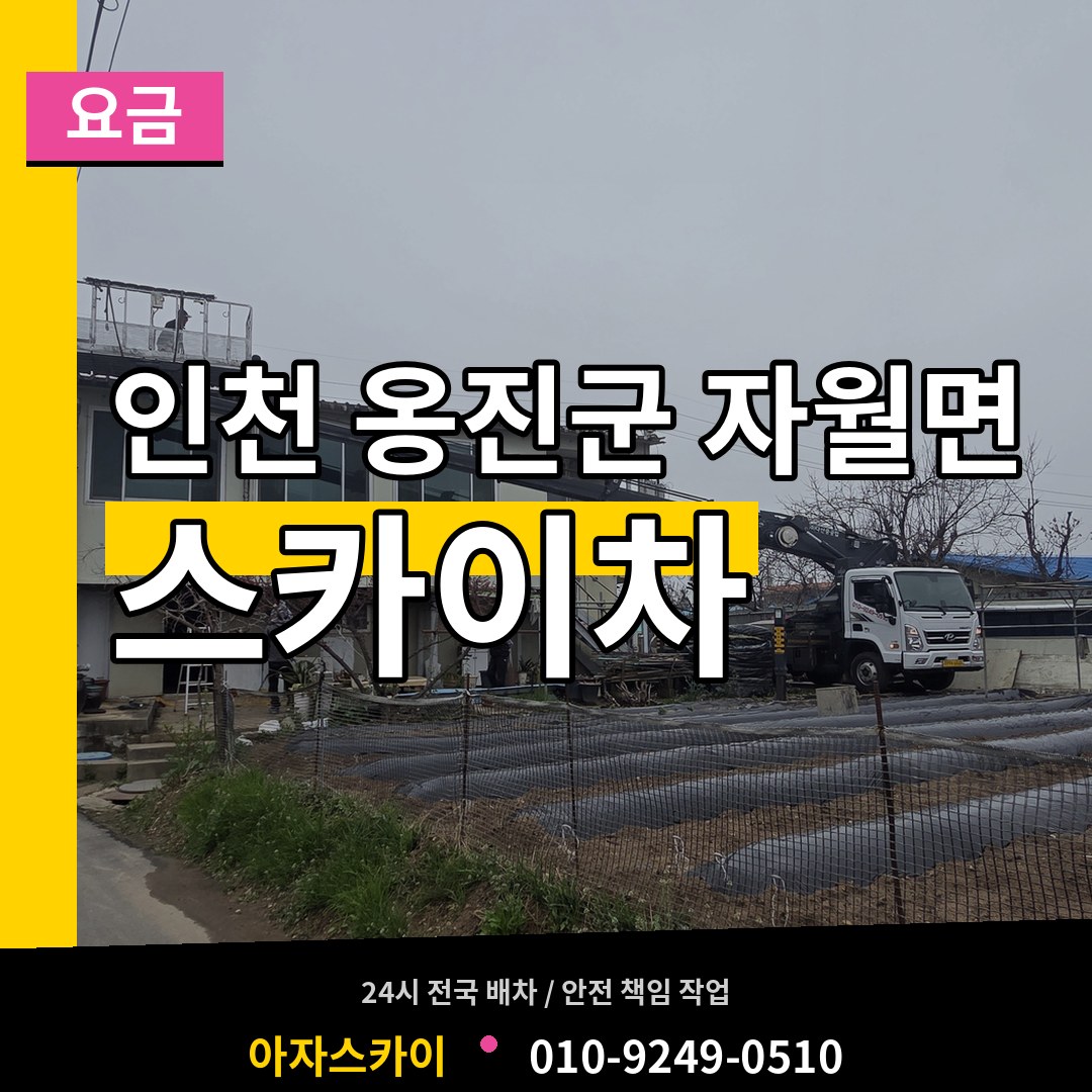 인천 옹진군 자월면 스카이차 요금