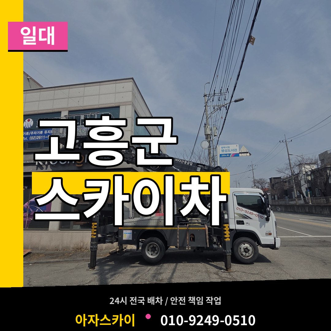 전남 고흥군 스카이차 일대