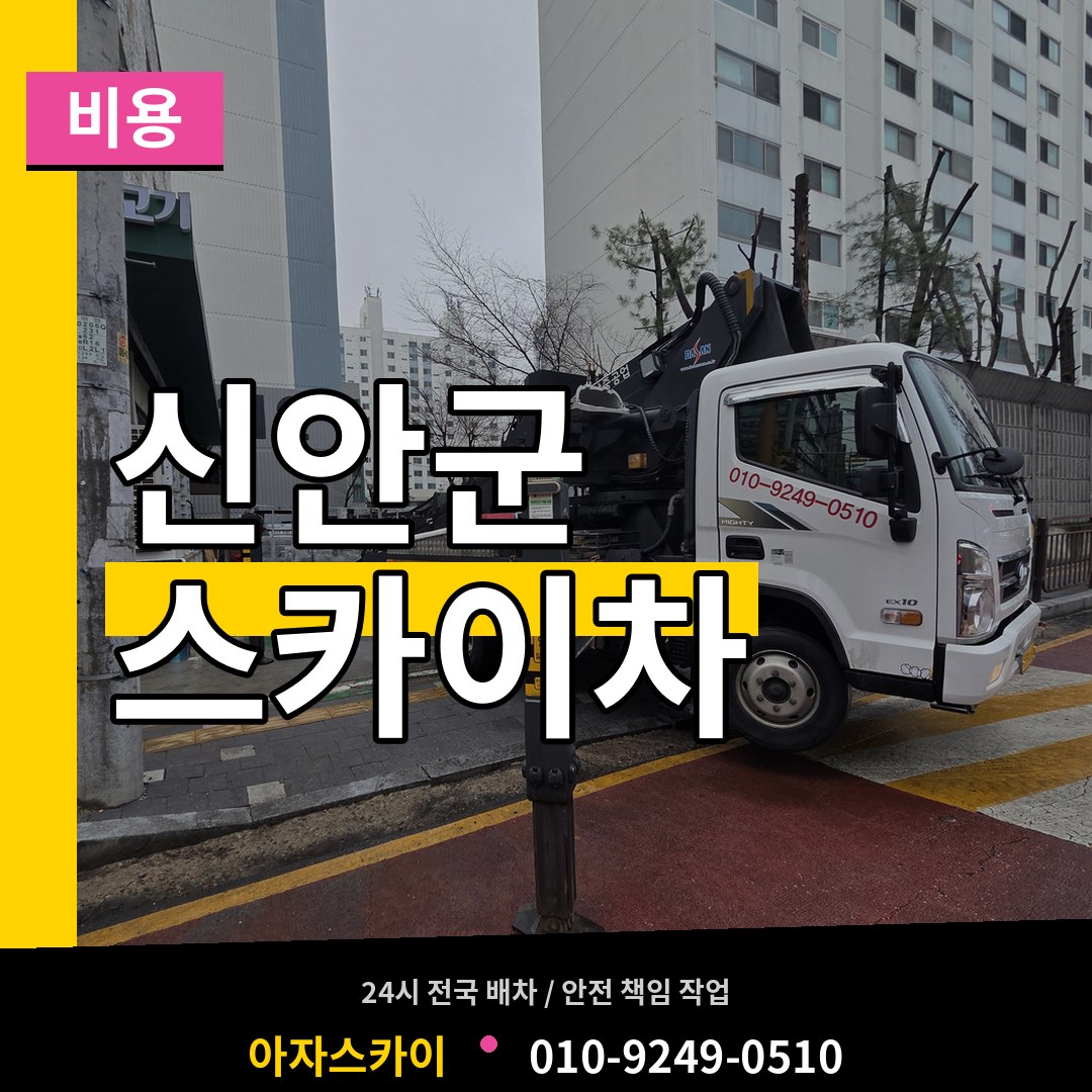 전남 신안군 스카이차 비용