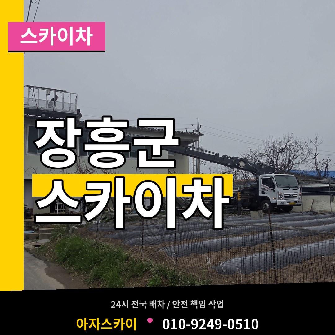 전남 장흥군 스카이차