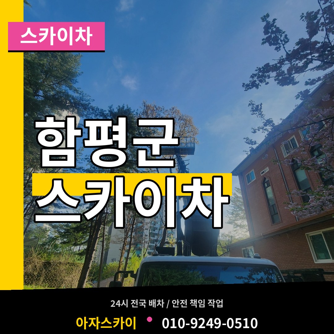 전남 함평군 스카이차