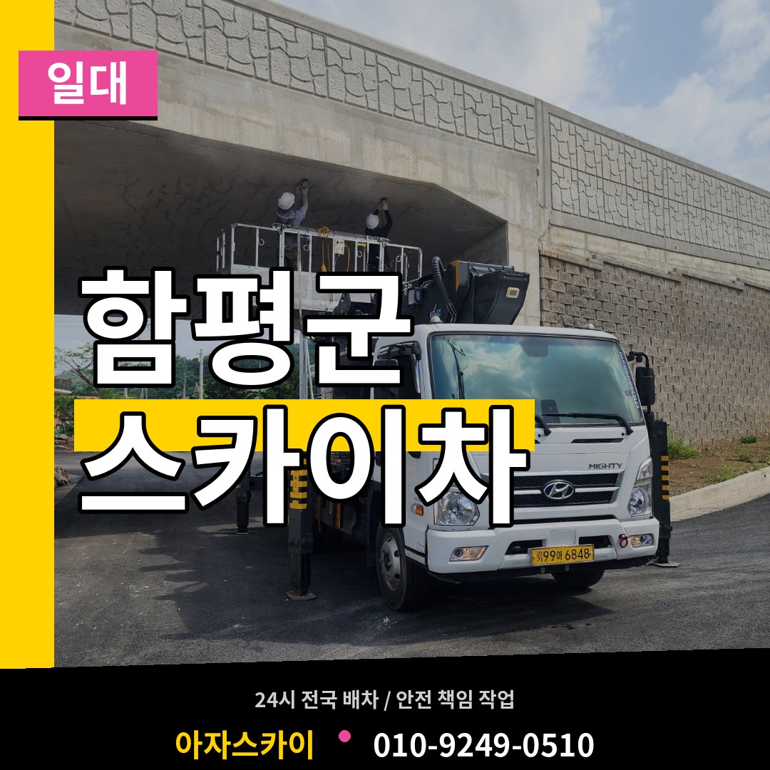 전남 함평군 스카이차 일대