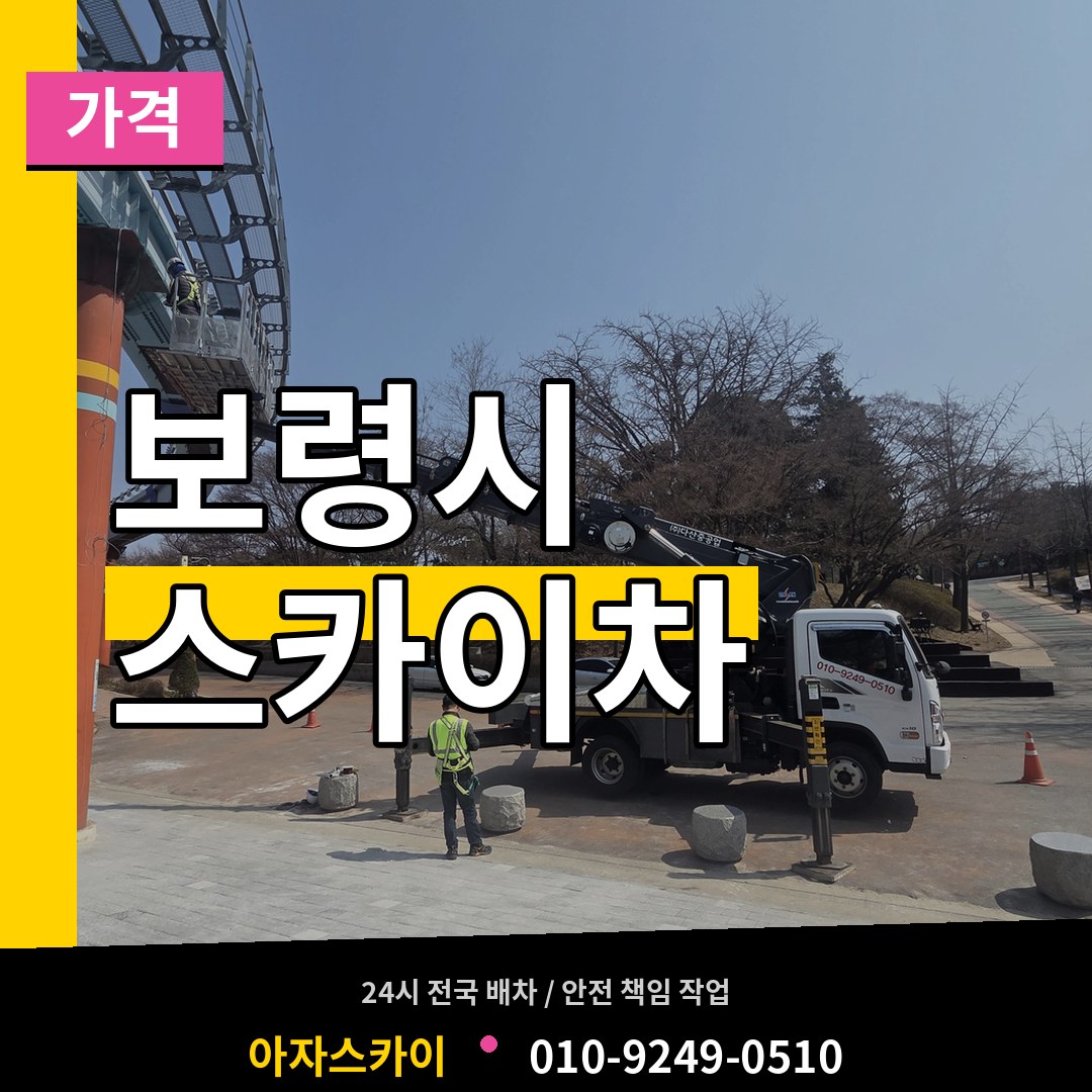 충남 보령시 스카이차 가격