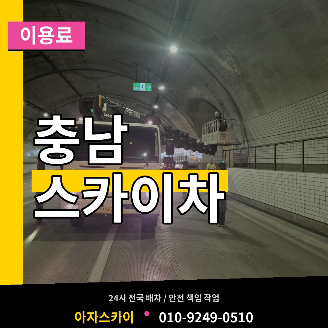 충남 스카이차 이용료