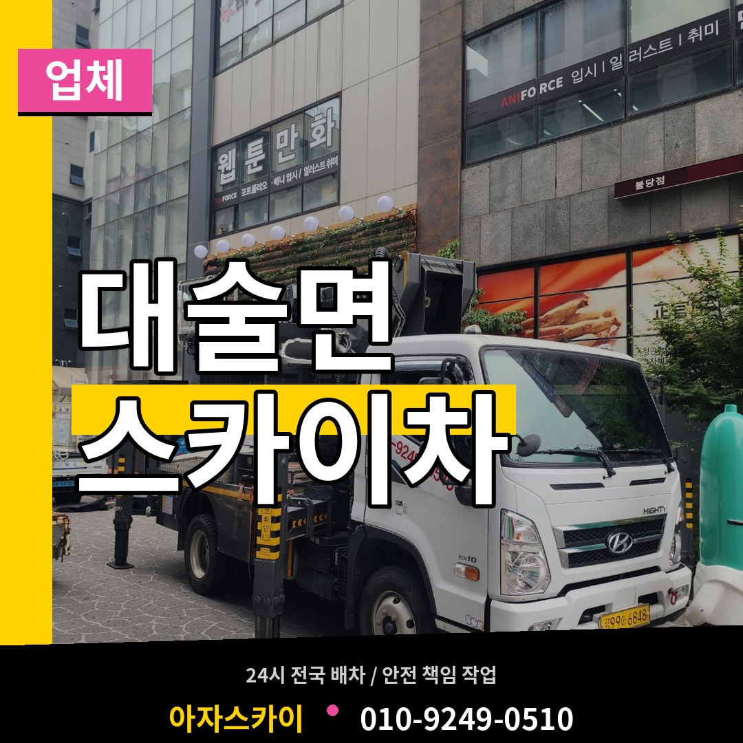 충남 예산군 대술면 스카이차 업체